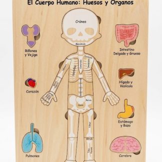 juego de encastre cuerpo humano esqueleto
